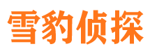 金口河婚外情调查取证